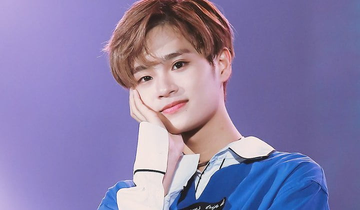 Biodata, Profil, dan Foto Personil Wanna One Lengkap