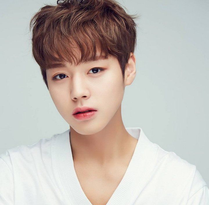 Biodata, Profil, dan Foto Personil Wanna One Lengkap