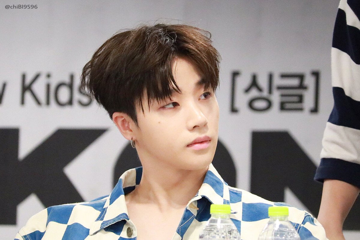 Biodata, Profil, dan Foto Personil iKON Lengkap