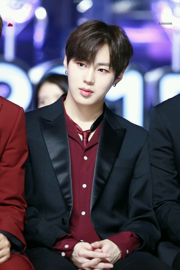 Biodata, Profil, dan Foto Personil Wanna One Lengkap