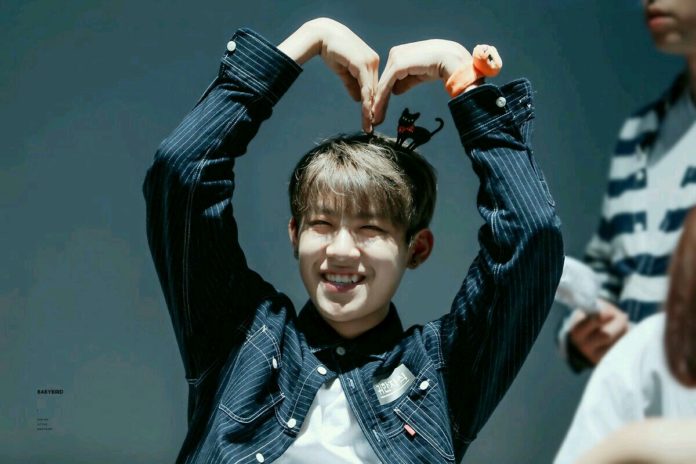 Biodata, Profil, dan Foto Personil Wanna One Lengkap