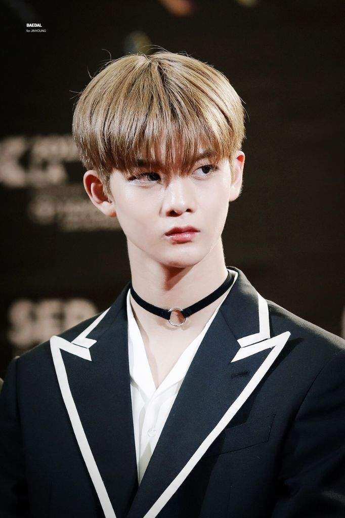 Biodata, Profil, dan Foto Personil Wanna One Lengkap