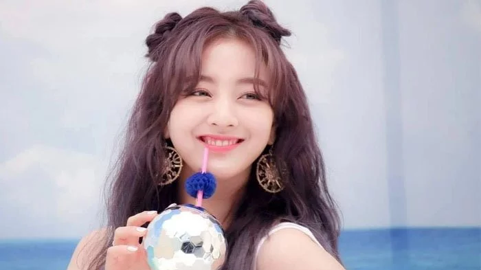 Biodata, Profil, dan Foto Personil TWICE Lengkap