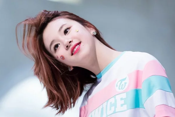 Biodata, Profil, dan Foto Personil TWICE Lengkap
