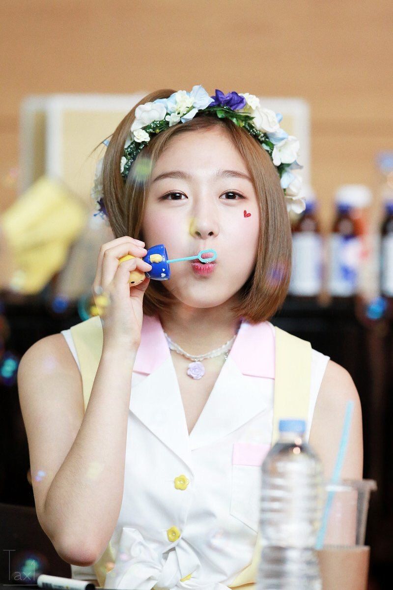 Biodata, Profil, Fakta Unik dan Foto Member Cosmic Girls (WJSN) Lengkap