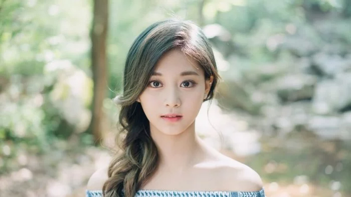 Biodata, Profil, dan Foto Personil TWICE Lengkap