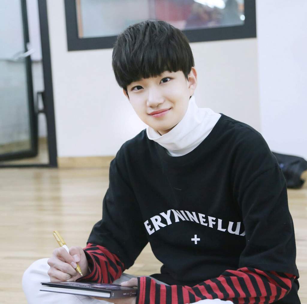 Biodata, Profil, Fakta Unik dan Foto Member New Kidd Lengkap