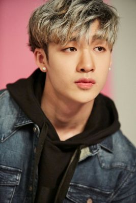 Biodata, Profil, Fakta Unik dan Foto Stray Kids Lengkap Dailysia profil