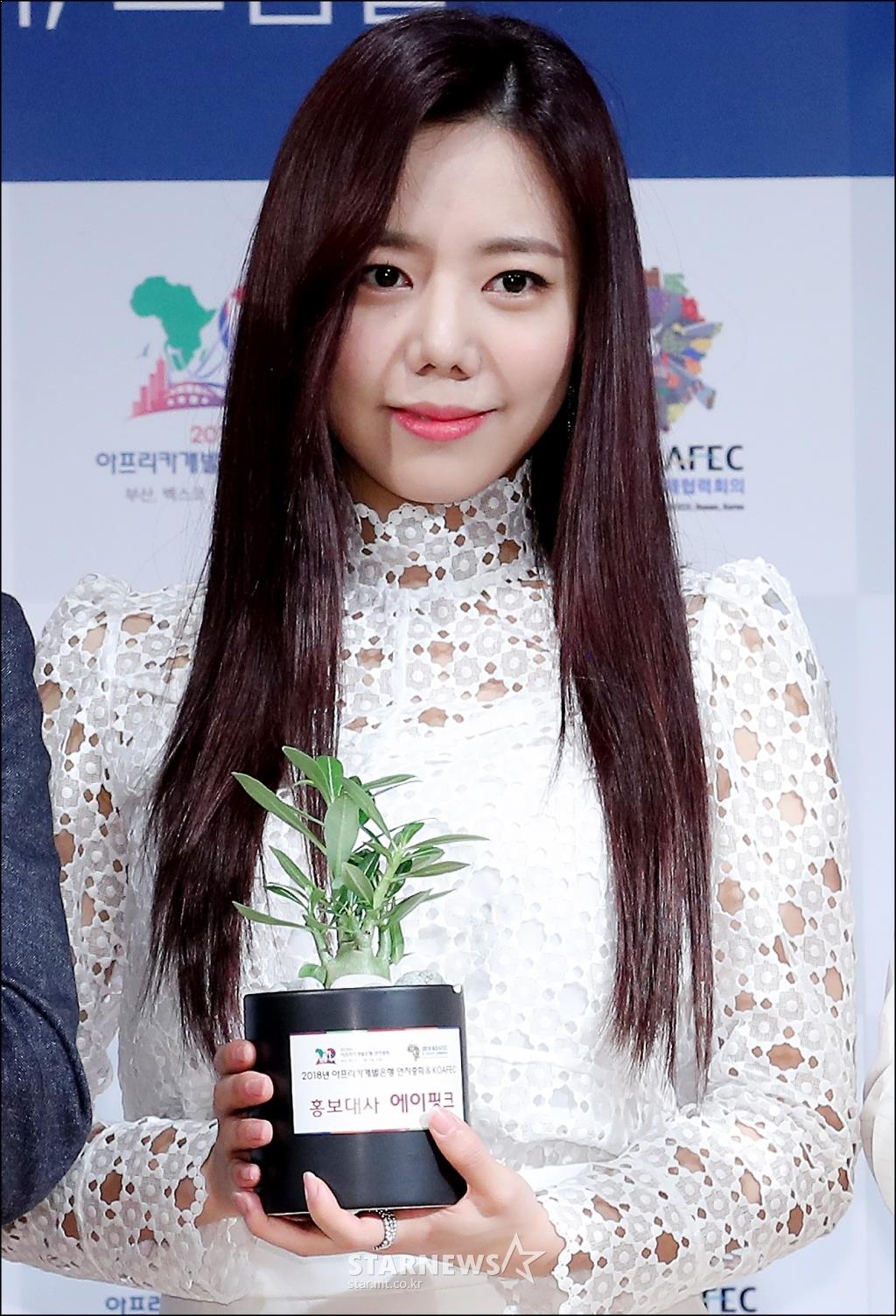 Biodata, Profil, Fakta Unik dan Foto Member Apink Lengkap