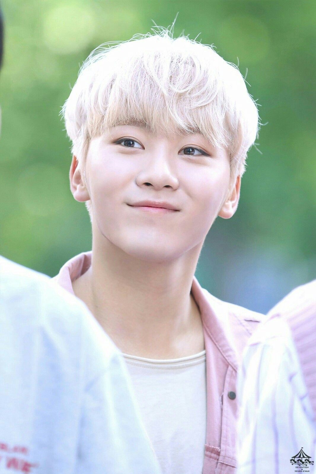 Biodata, Profil, Fakta Unik dan Foto Personil Seventeen Lengkap