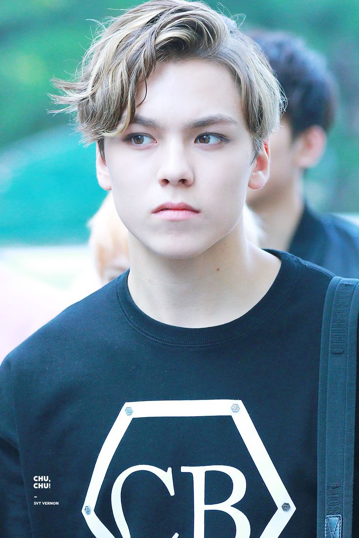 Biodata, Profil, Fakta Unik dan Foto Personil Seventeen Lengkap