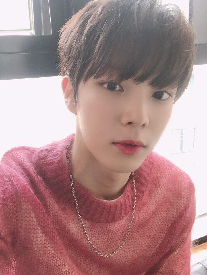 Biodata, Profil, Fakta Unik dan Foto Personil Verivery Lengkap