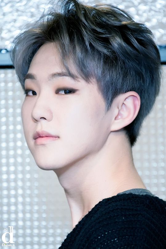 Biodata, Profil, Fakta Unik dan Foto Personil Seventeen Lengkap