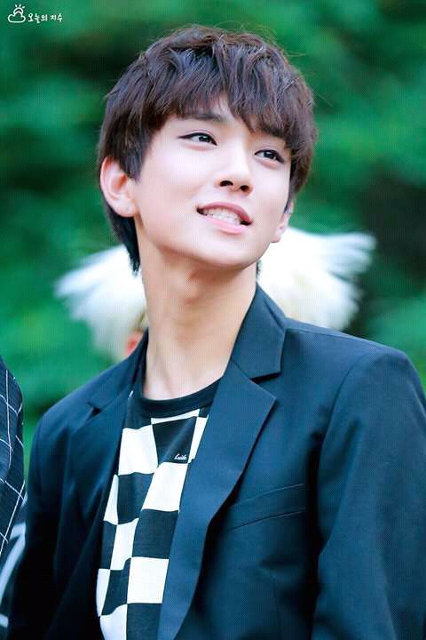 Biodata, Profil, Fakta Unik dan Foto Personil Seventeen Lengkap