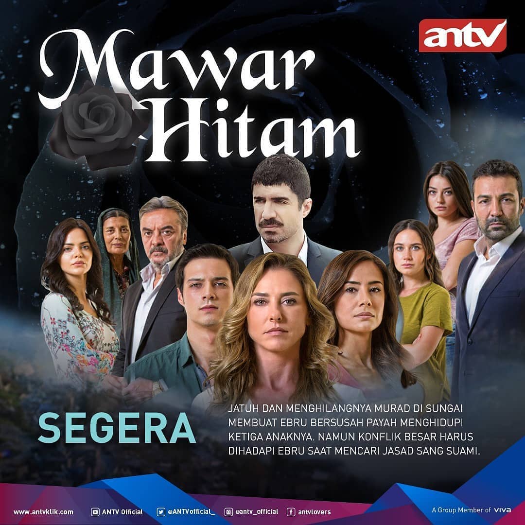 Sinopsis Mawar Hitam Episode 1 - 125 Lengkap (Drama Turki ANTV)