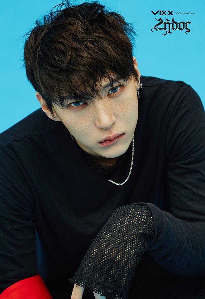 Biodata, Profil, Fakta Menarik dan Foto Personil VIXX Lengkap