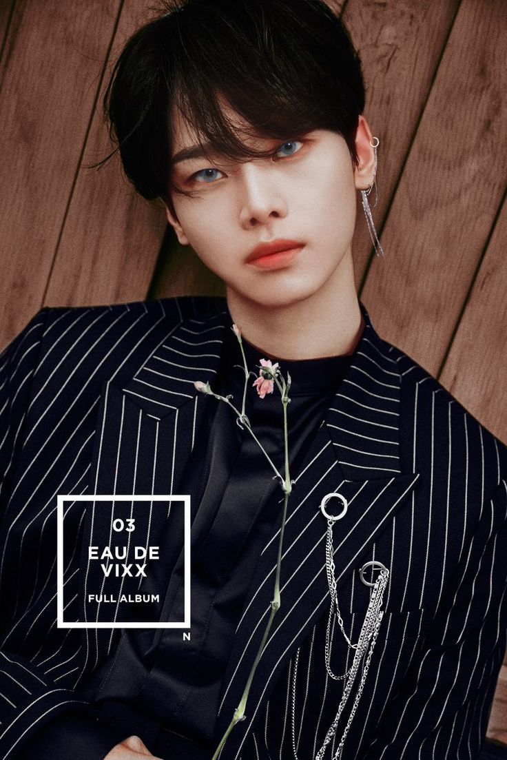 Biodata, Profil, Fakta Menarik dan Foto Personil VIXX Lengkap