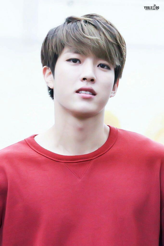Biodata, Profil, Fakta Unik dan Foto Personil Infinite Lengkap