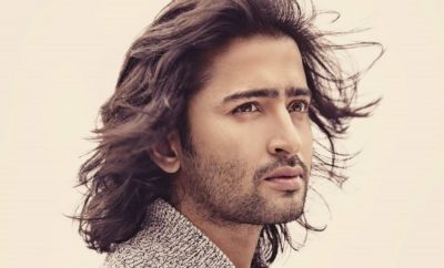 Biodata, Profil, Fakta Unik dan Foto Aktor India Shaheer Sheikh