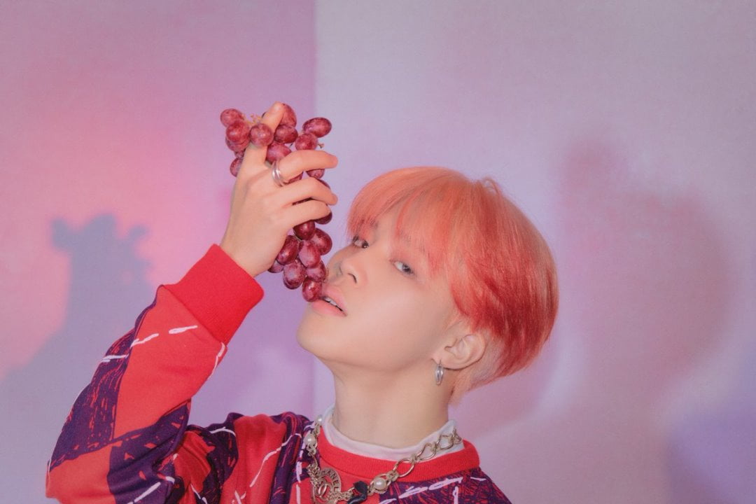 Biodata, Profil, Fakta Menarik dan Foto Personil BTS Lengkap