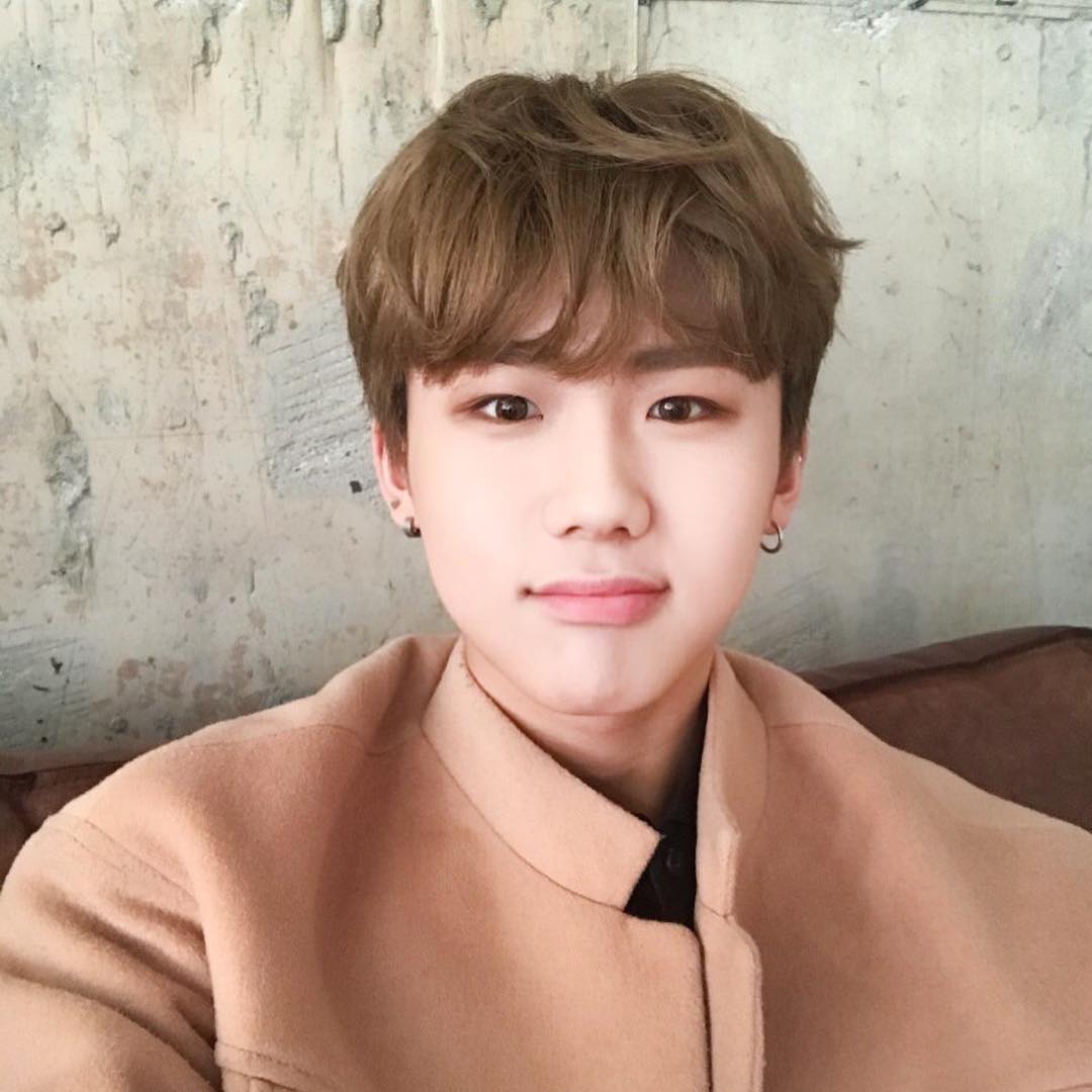 biodata profil fakta dan foto member dongkiz dailysia biodata profil fakta dan foto member dongkiz dailysia
