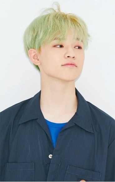 Biodata, Profil dan Fakta Member NCT Dream