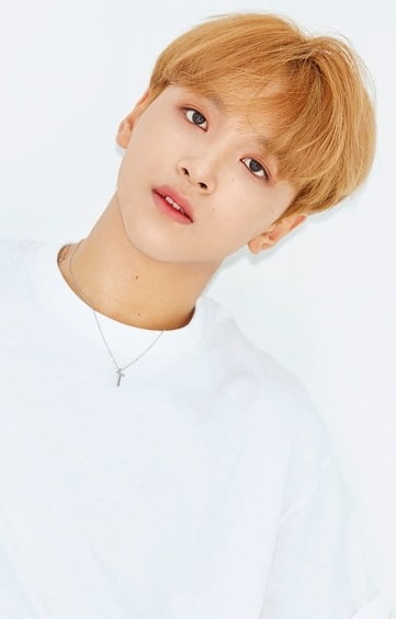 Biodata, Profil dan Fakta Member NCT Dream