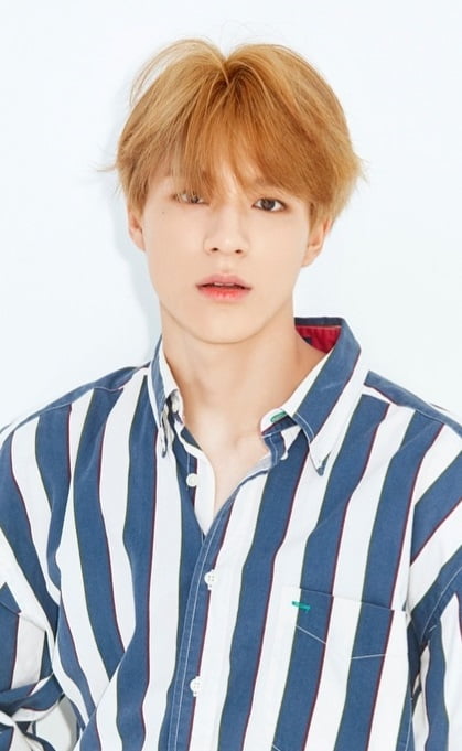 Biodata, Profil dan Fakta Member NCT Dream