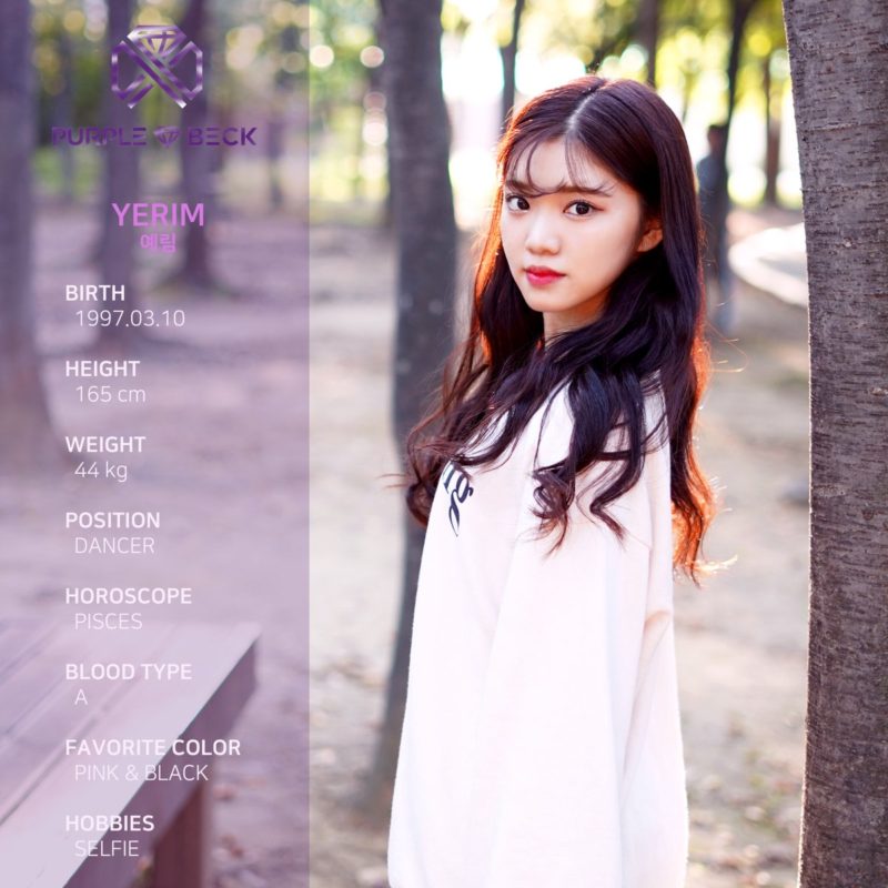 Biodata, Profil dan Fakta Unik Personil PURPLEBECK