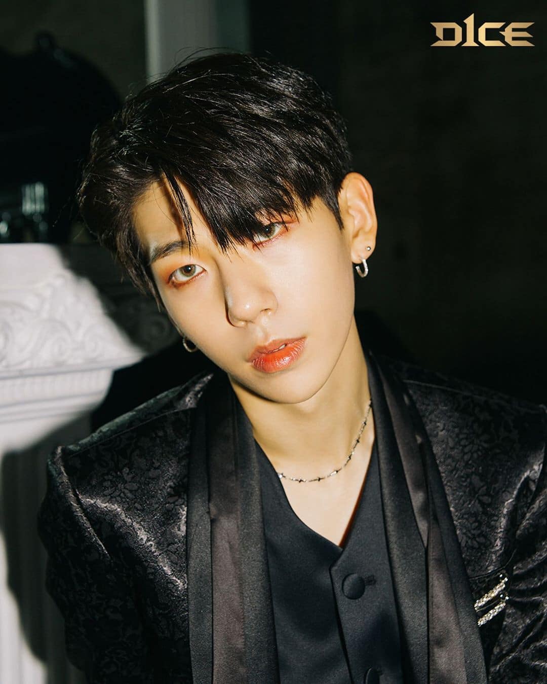 Biodata, Profil dan Fakta Unik Member D1CE