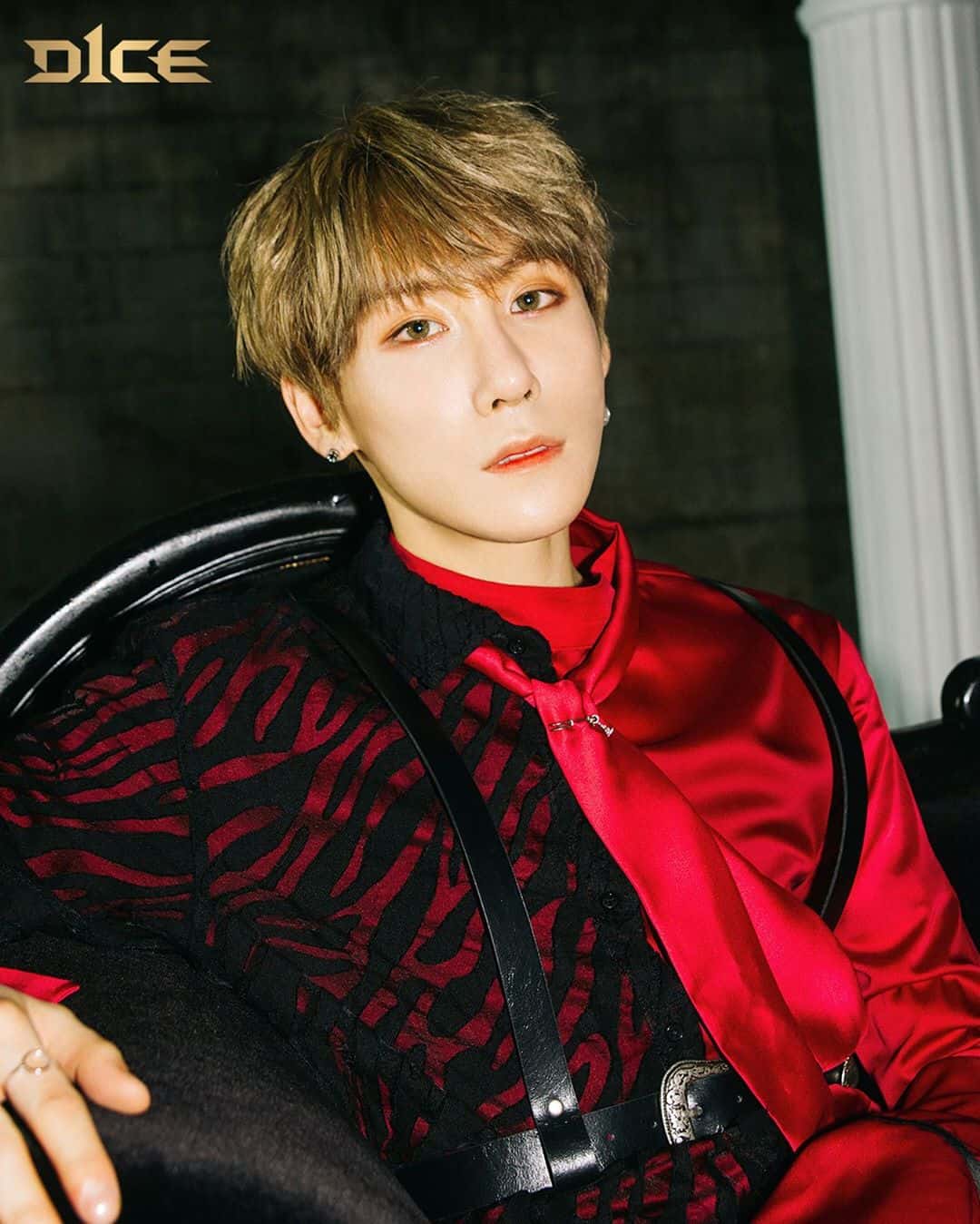 Biodata, Profil dan Fakta Unik Member D1CE