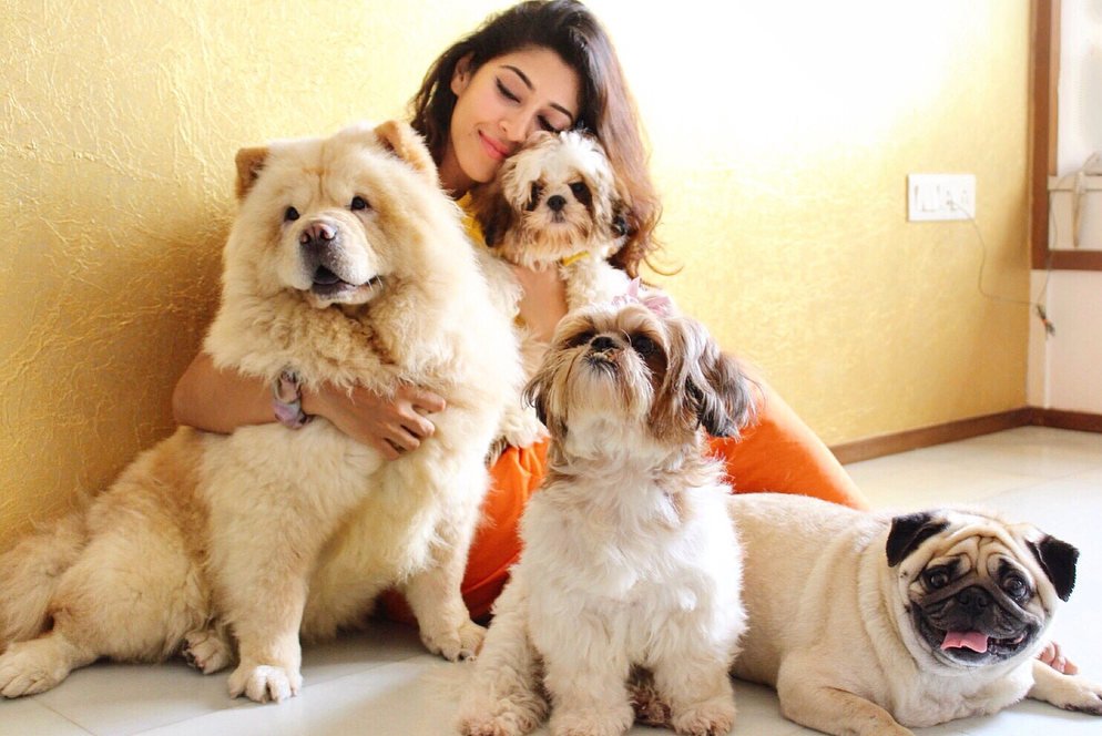 10 Pesona Sonarika Bhadoria, Artis India Pecinta Anjing dan Bunga