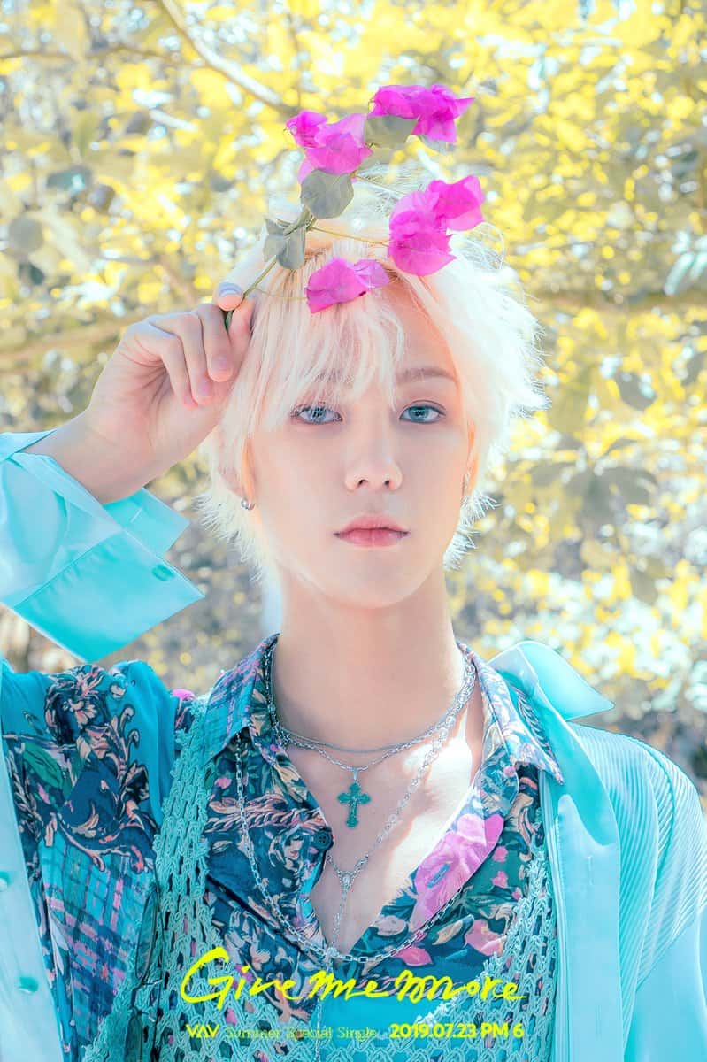 Biodata, Profil, Fakta dan Foto Personil VAV