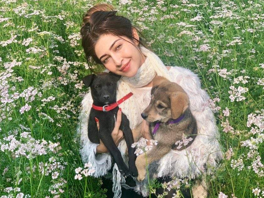 10 Pesona Sonarika Bhadoria, Artis India Pecinta Anjing dan Bunga