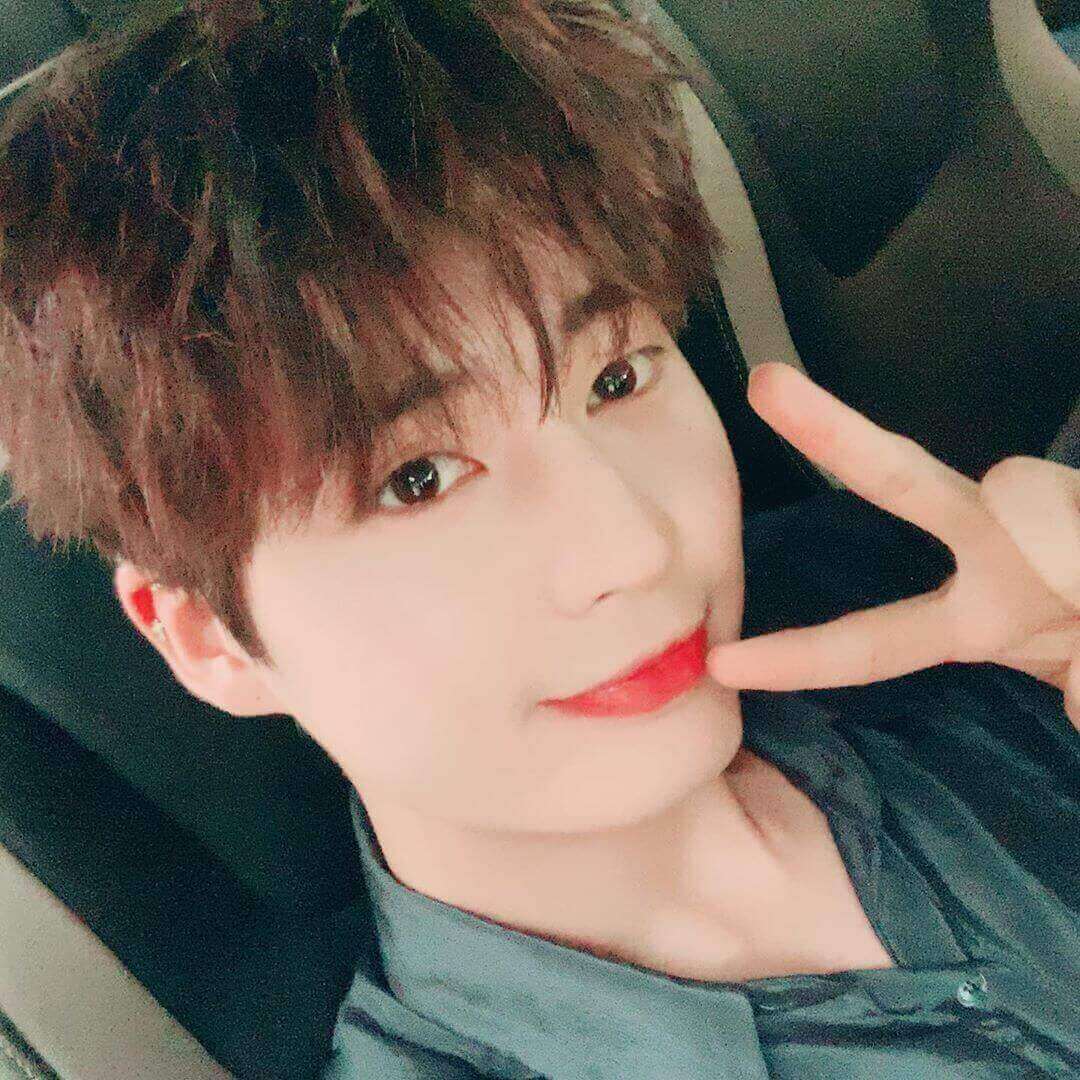 Biodata, Profil, Fakta Unik dan Foto Member UP10TION