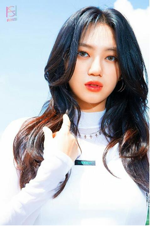 Biodata, Profil dan Fakta Unik ANS