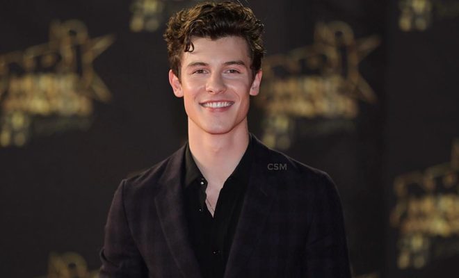 Biodata, Profil dan Fakta Unik Shawn Mendes