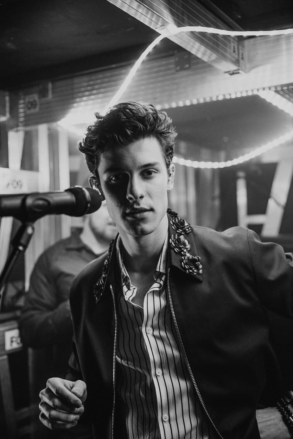 Biodata, Profil dan Fakta Unik Shawn Mendes