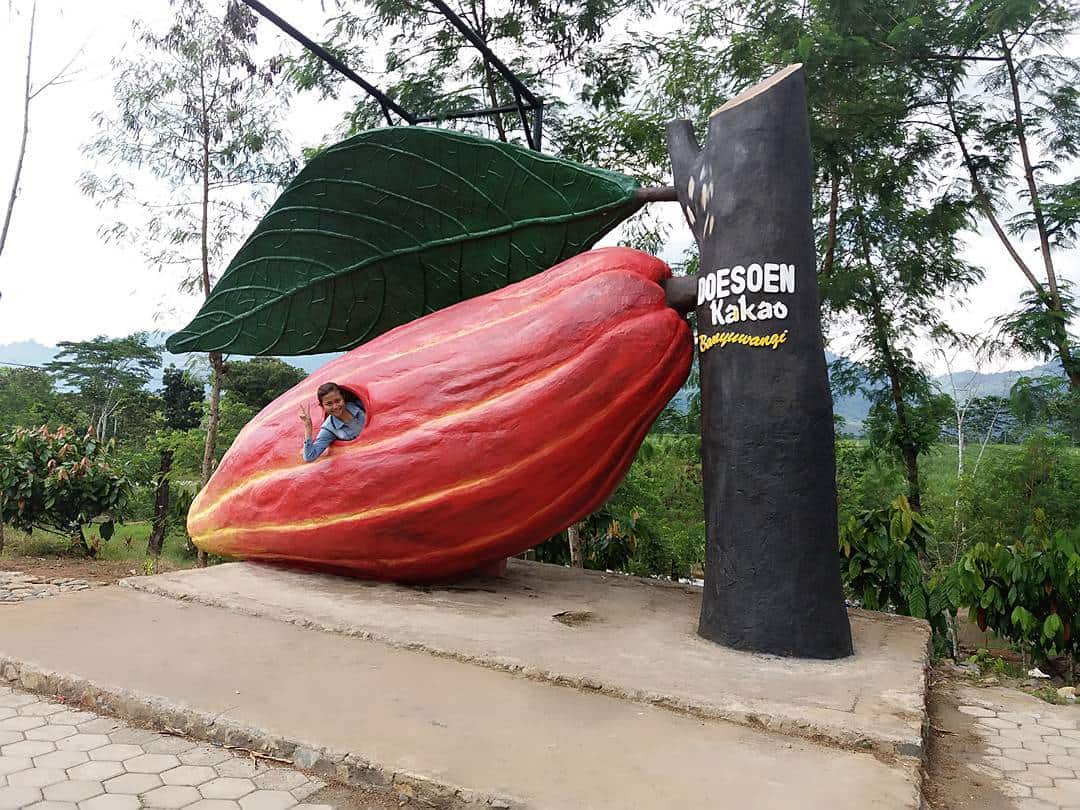 Dusun Kakao Banyuwangi