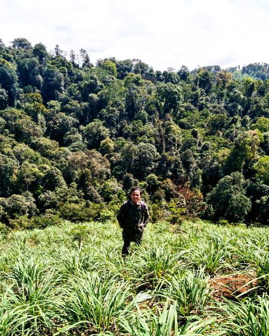 Hutan Lindung Bukit Daun