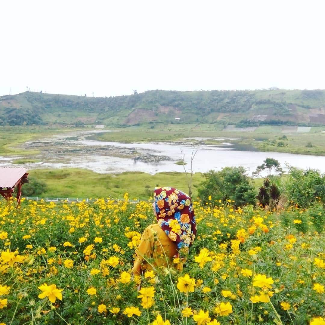 Kebun Bunga Rejang Lebong