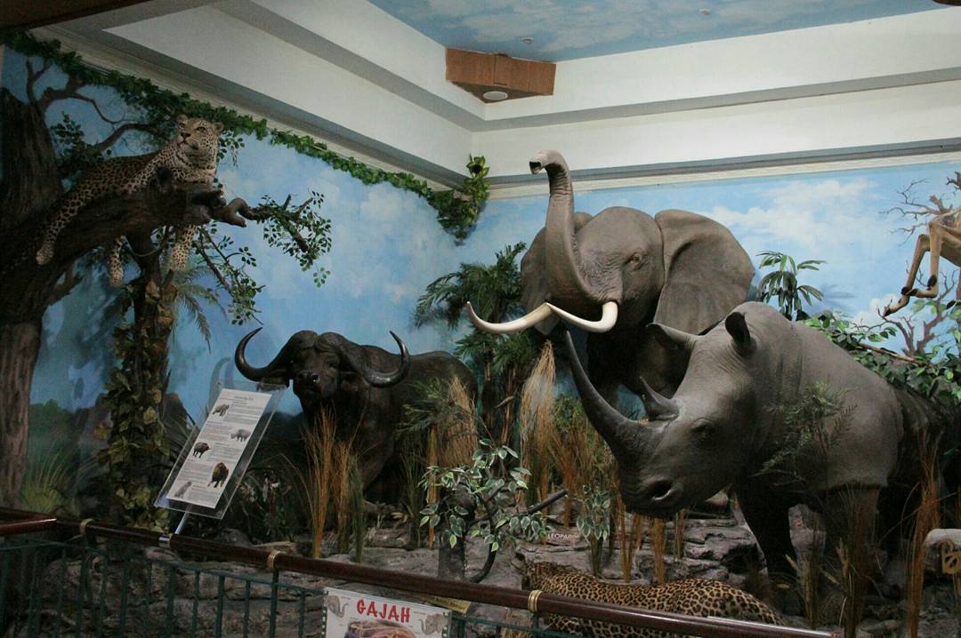 Rahmat International Wildlife Museum & Gallery 