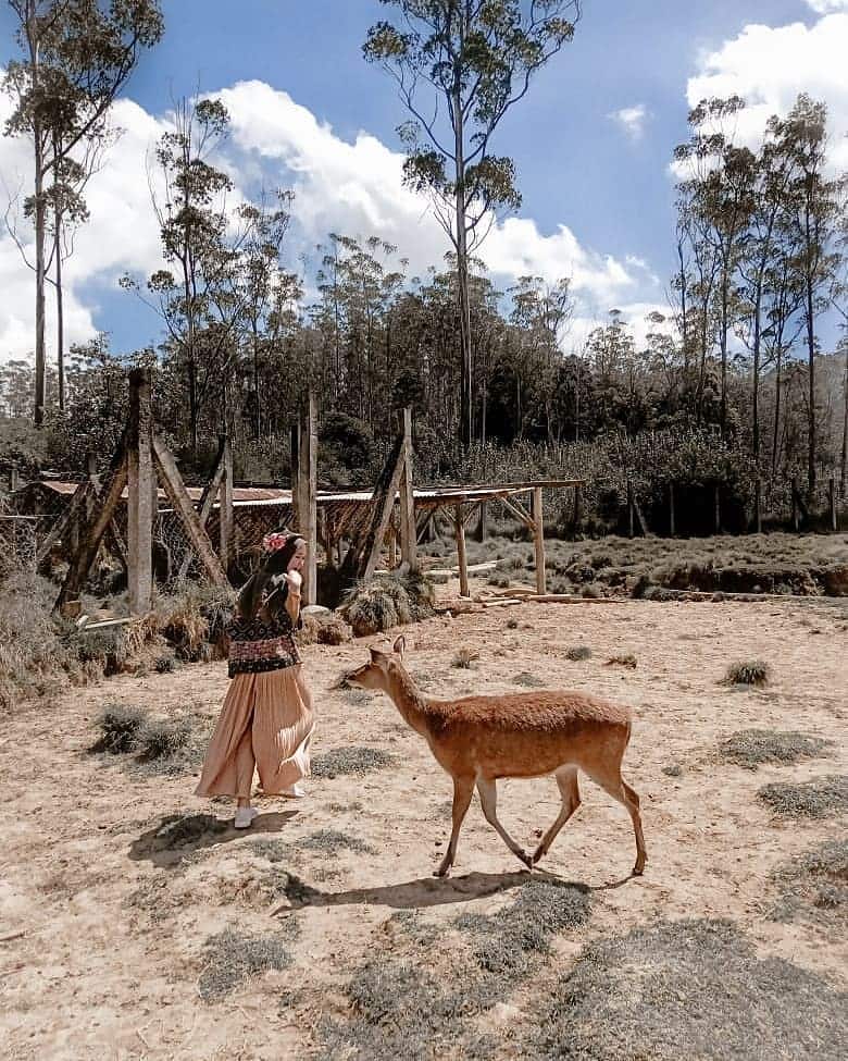 Taman Penangkaran Rusa Giri Jaya Cariu Bogor