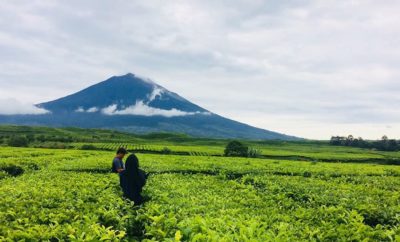 10 Destinasi Wisata yang Wajib Dikunjungi Saat Pelesiran ke Jambi