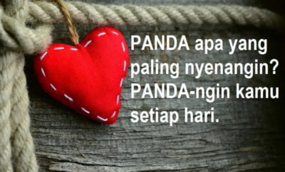 PANDA apa yang paling nyenangin? PANDA-ngin kamu setiap hari