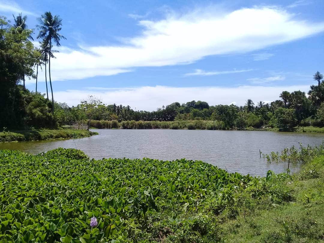 Danau Sibili 