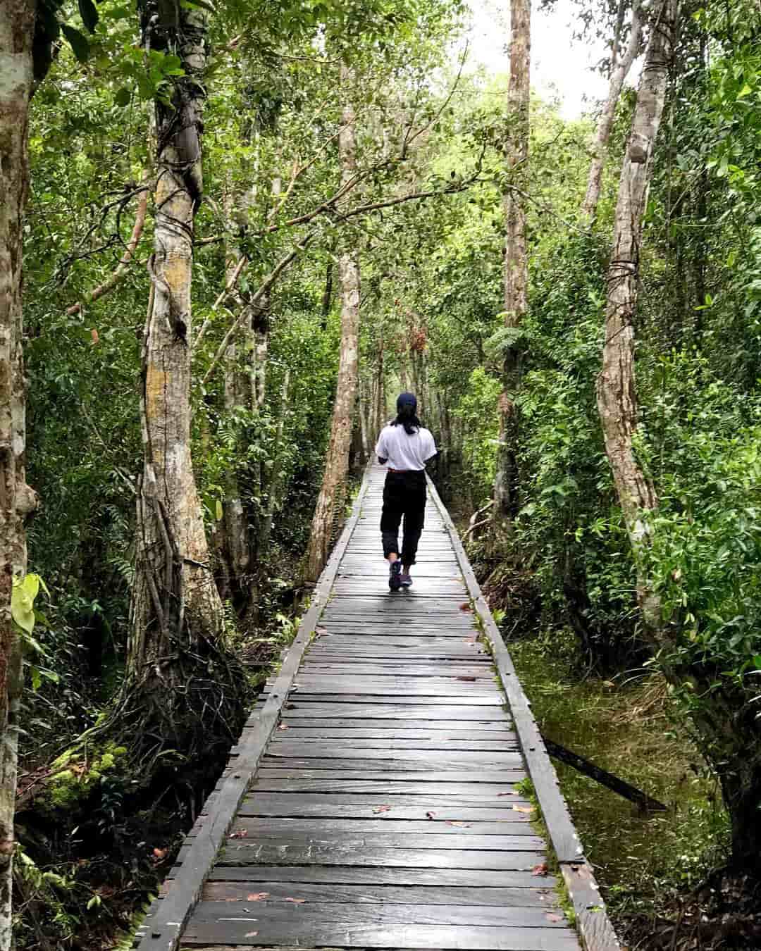 Taman Nasional Tanjung Puting Palangkaraya