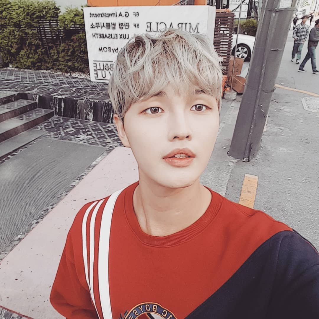 Biodata, Profil, Fakta Unik dan Foto Member APEACE