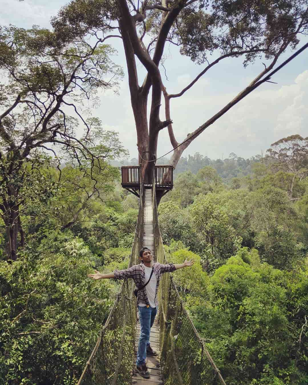 Bukit Bangkirai 