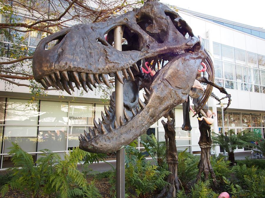 Hier sind nicht nur T-Rex, sondern auch 13 interessante Fakten über Google